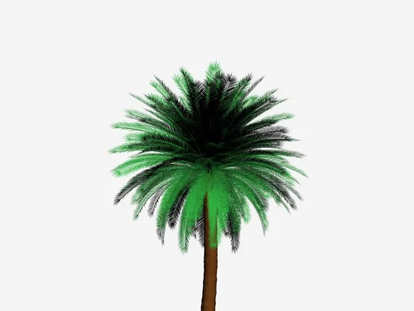 Renderização Palmeira — Fotografia de Stock