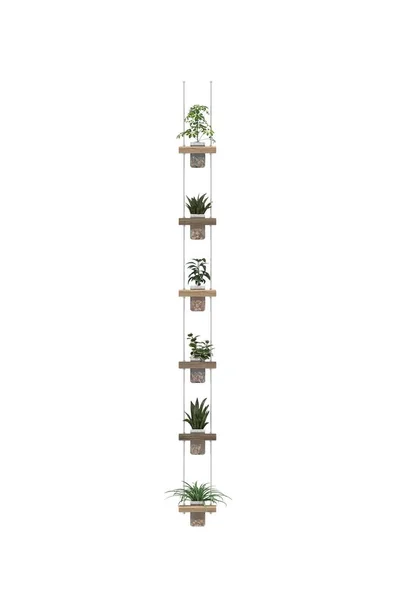 Flowerpots Shelves White Background — Stock Photo, Image