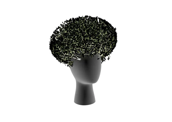 Render Head Plants Top — Stock Photo, Image