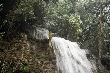 Dağdan akan şelale
