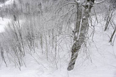 Mountain karlı manzara