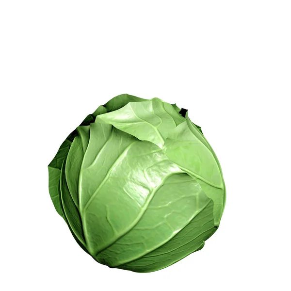 Render Cabbage — Stock Photo, Image