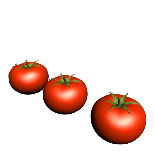 Renderizado Tomate — Foto de Stock