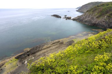 İstanbul Boğazı'nda güzel manzara