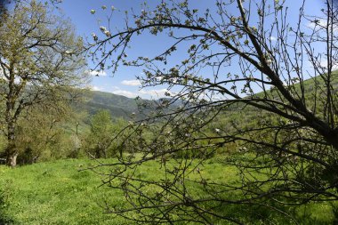 kırsal manzara güzel bir gün