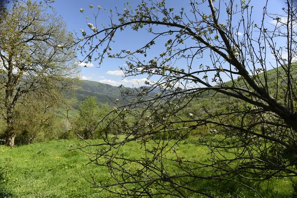 kırsal manzara güzel bir gün