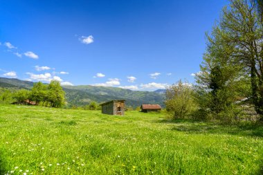 kırsal manzara güzel bir gün