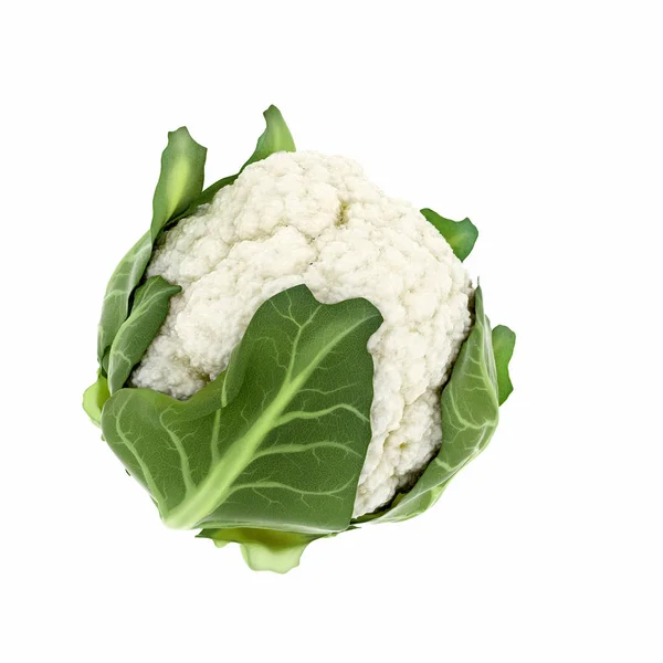 3D渲染菜花蔬菜 — 图库照片