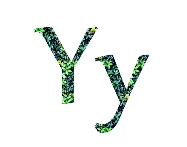 Font from leaves. Letter  Y — Stock Photo, Image