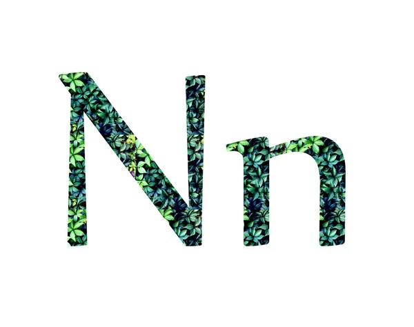 잎에서 글꼴, ABC — 스톡 사진
