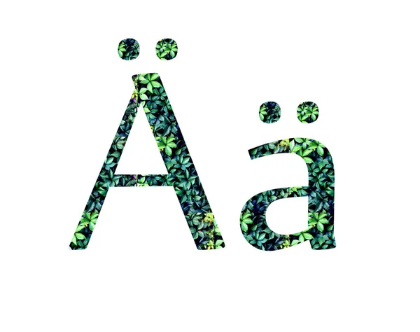 German letter A umlaut. Font from leaves — Stock Photo, Image