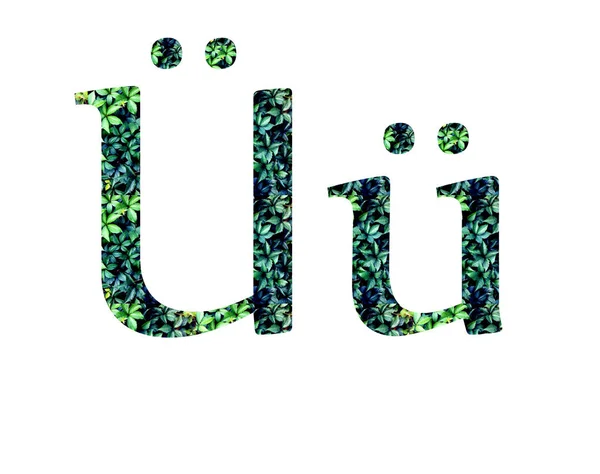 Niemiecka litera U umlaut. Czcionka z liści — Zdjęcie stockowe