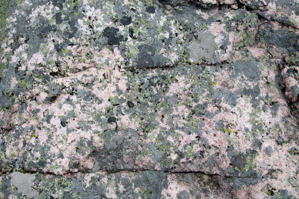 灰色岩石上的绿色地衣 — 图库照片