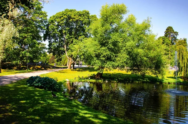 風景です 池と噴水のある公園 — ストック写真