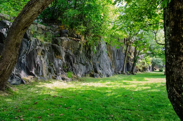 Una Vista Una Roca Césped Sombra Árbol Día Soleado — Foto de Stock