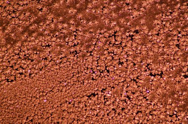 Frost penceresinde, kış desen camına