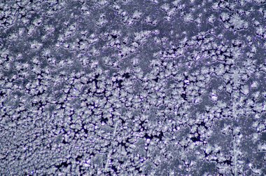 Frost penceresinde, kış desen camına