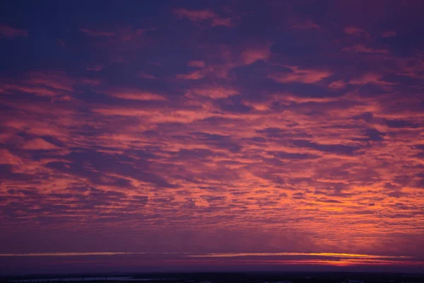 O céu em flores roxas rosa antes do nascer do sol — Fotografia de Stock