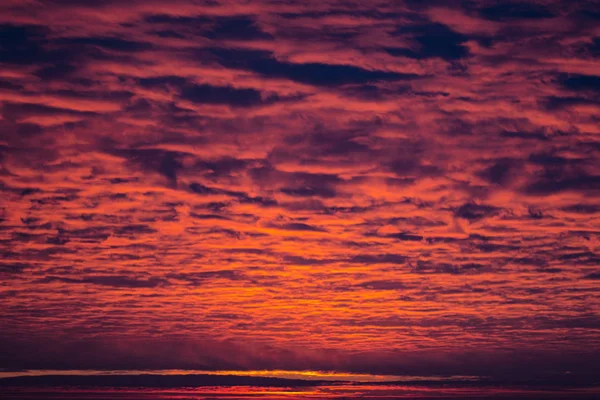 O céu em flores roxas rosa antes do nascer do sol — Fotografia de Stock