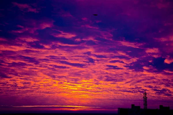 O céu em flores roxas rosa antes do nascer do sol — Fotografia de Stock