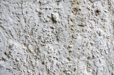 Eski beton duvarın dokusu. Parçası. Makro. Gri.