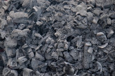 bir demet progovshev kömür ve kül