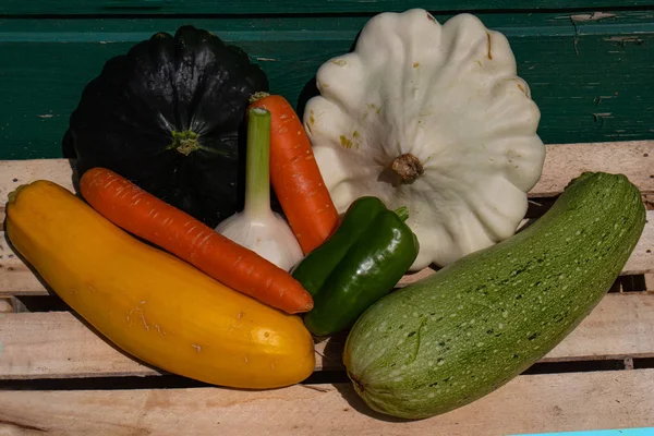Fresh vegetables from the garden on the background of green boar Stock Picture