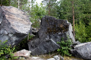 Üzerlerinde aşırı büyümüş bir orman olan büyük mermer bloklar ile peyzaj.