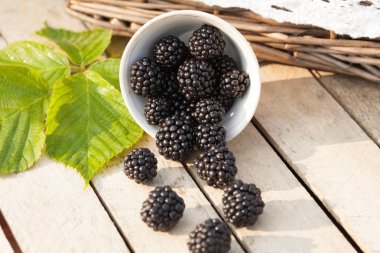 Böğürtlen sepeti yeşil çimenlerin üzerinde. Rustik tarzı