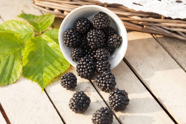 Böğürtlen sepeti yeşil çimenlerin üzerinde. Rustik tarzı