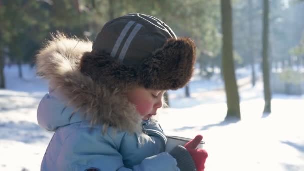 5 year boy drink hot tea in the winter forest — Stock Video