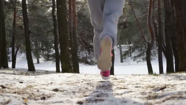 Corredor feminino correndo na floresta fria de inverno vestindo roupas quentes e esportivas e luvas . — Vídeo de Stock