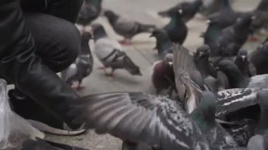 Güzel genç kadın sokakta güvercin besleme