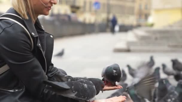 Beautiful young woman feeding pigeons on the street — Stock Video