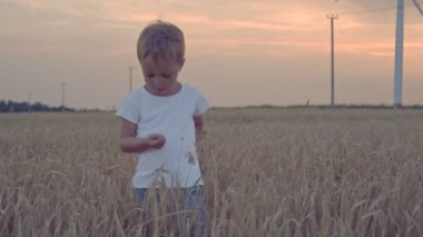 Buğday alanı Rüzgar türbinleri ile mutlu çocuk