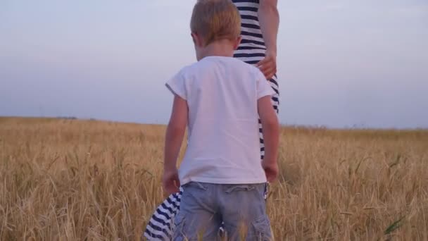 Мать и сын ходят по пшеничному полю — стоковое видео