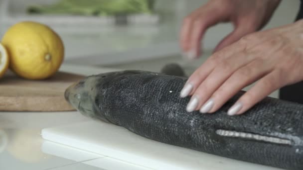Pescado hembra cortado con un cuchillo en la cocina. De cerca. — Vídeo de stock