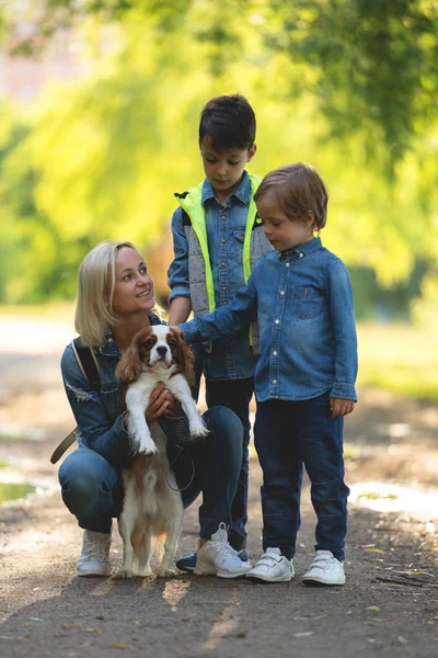 Счастливая молодая мама с восхитительными детьми и собакой, гуляющей в парке — стоковое фото