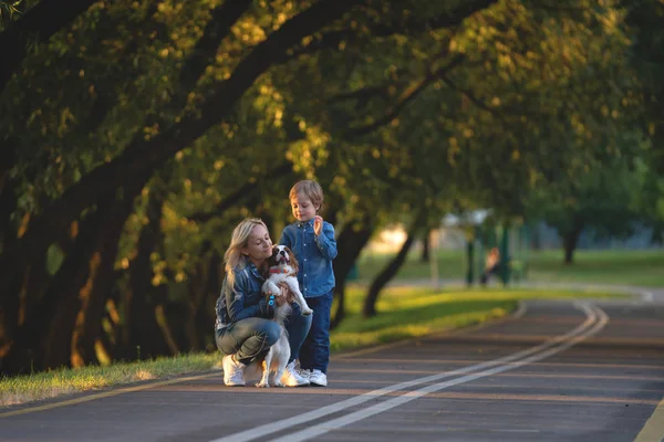 Heureuse jeune mère avec adorables enfants et chien marche dans le parc — Photo