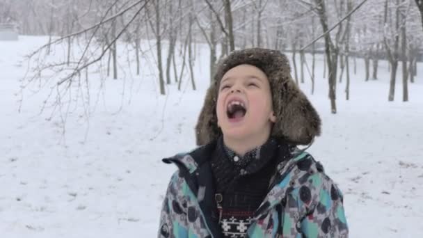 Rapaz desfrutando queda de neve — Vídeo de Stock