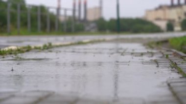 Yağmur mevsiminde yere yağmur yağar