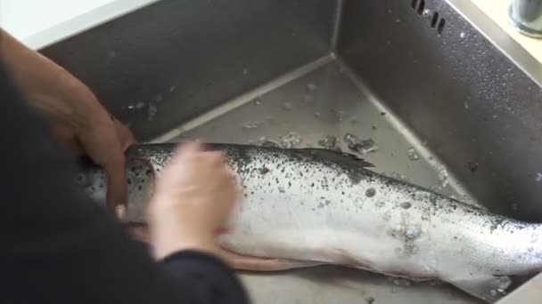 Mujer limpia salmón en el fregadero — Vídeos de Stock