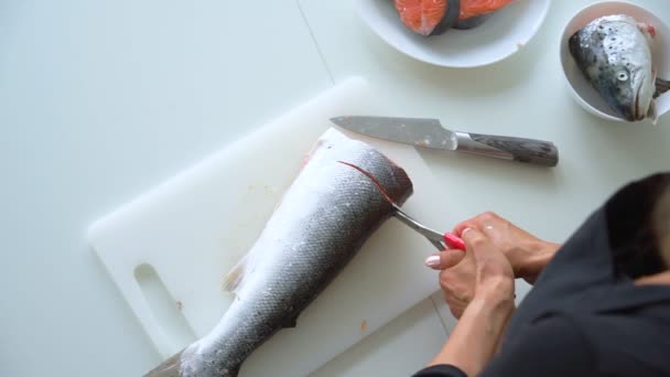 Жінка нарізала лосось у стейк — стокове відео