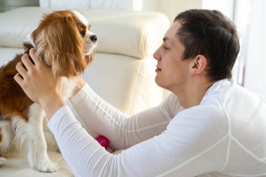 Adam köpek ile kanepe, sabah eğleniyor. Düşüncesiz kral şarlatan İspanyol evde oynamak