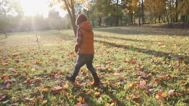 Feliz niño jugando con hojas de otoño lanzando hojas en cámara lenta — Vídeos de Stock