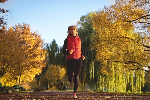 Afbeelding voor vrouw runner in warme kleren en oortelefoons uitgevoerd in najaar park — Stockfoto