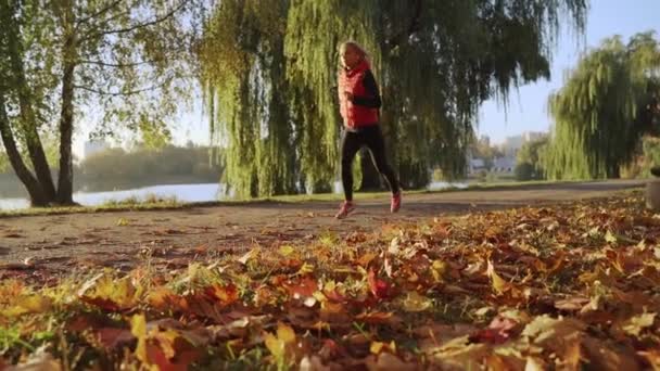 Бегущая женщина в осеннем лесу. Женская фитнес-девочка бегает по дорожке в удивительном пейзаже осенней листвы снаружи. Медленное движение . — стоковое видео