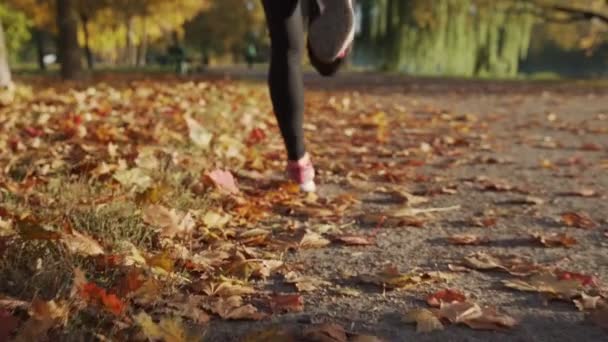 脚的女跑步运动员在秋天的落叶，运行概念的训练演习的特写 — 图库视频影像