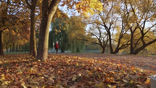 Woman runner running in fall autumn forest. Female fitness girl jogging on path in amazing fall foliage landscape nature outside. Slow motion. — Stock Video