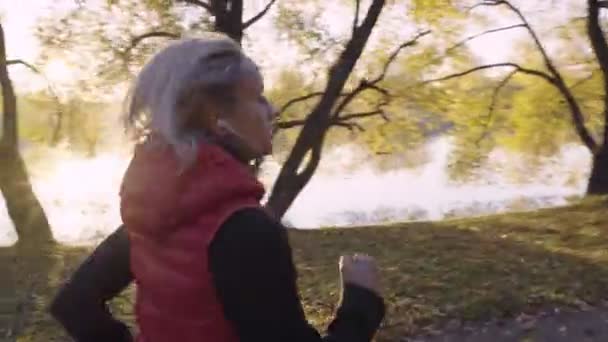 Corredor mujer corriendo en otoño bosque de otoño. Chica fitness femenina trotando en el camino en otoño increíble follaje paisaje naturaleza exterior . — Vídeos de Stock